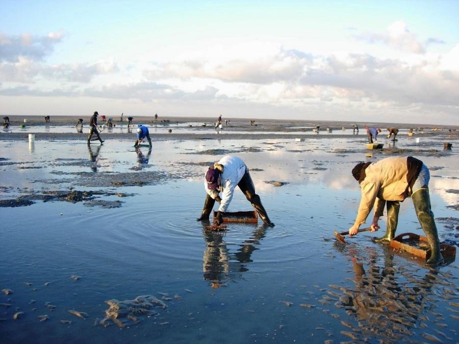 Вілла Le Gite De Martine En Baie De Somme Lancheres Екстер'єр фото