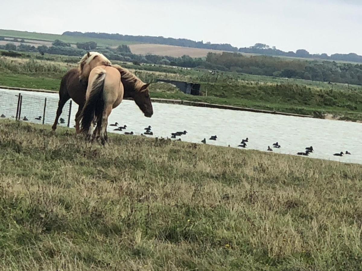 Вілла Le Gite De Martine En Baie De Somme Lancheres Екстер'єр фото